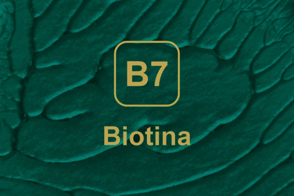 Biotina: Qué es y cómo ayuda a frenar la caída del cabello